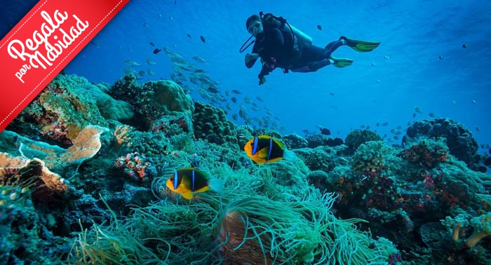 Descubre los secretos marinos de Cabo de Gata: Curso Buceo privado OPEN WATER PSS 