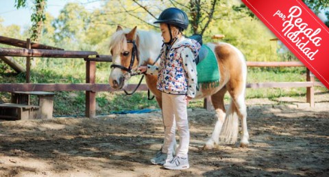 ¡Regala una Experiencia inolvidable! Paseo en Pony en Ponyclub Almería 