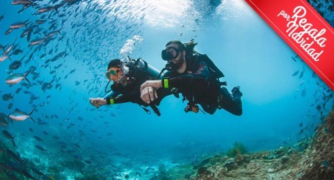 Descubre los secretos marinos de Cabo de Gata: Curso Buceo privado OPEN WATER PSS 