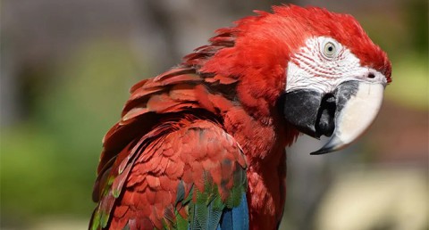 ¡Disfruta en familia de la belleza salvaje de la naturaleza! Entradas para Terra Natura Murcia