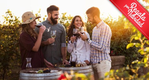 El regalo perfecto: Visita Guiada a Bodega con Cata y Aperitivos en Bodegas Perfer