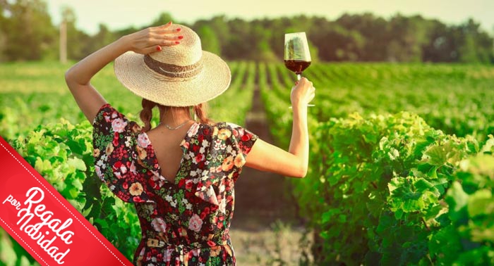 El regalo perfecto: Visita Guiada a Bodega con Cata y Aperitivos en Bodegas Perfer