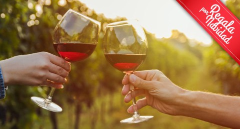 Enoturismo con Visita, Cata de 3 Vinos y Degustación Gastronómica Bodega Condado Ojancos