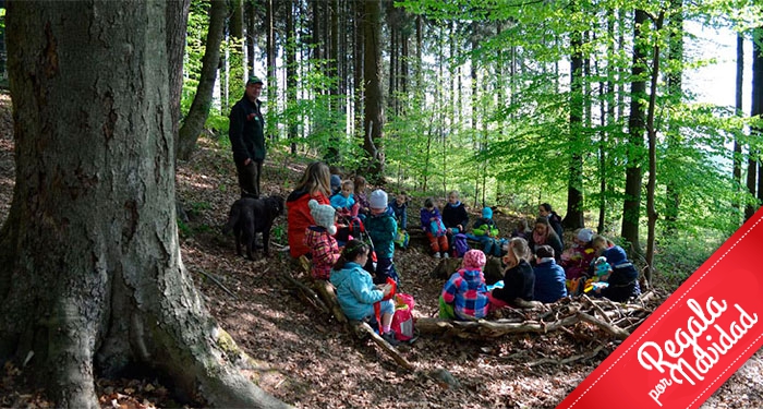 Aventura en Familia: Parque de Aventura de Laujar + Escuela de Bosque