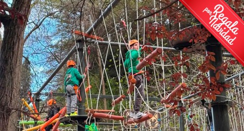 Aventura en Familia: Parque de Aventura de Laujar + Escuela de Bosque