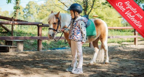 ¡Regala una Experiencia inolvidable! Paseo en Pony en Ponyclub Almería 