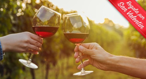 Enoturismo con Visita, Cata de 3 Vinos y Degustación Gastronómica Bodega Condado Ojancos