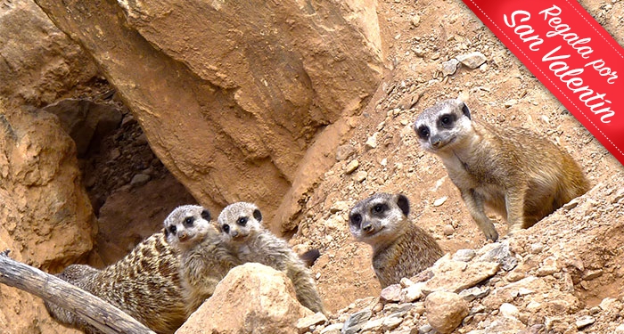 ¡Disfruta en familia de la belleza salvaje de la naturaleza! Entradas para Terra Natura Murcia