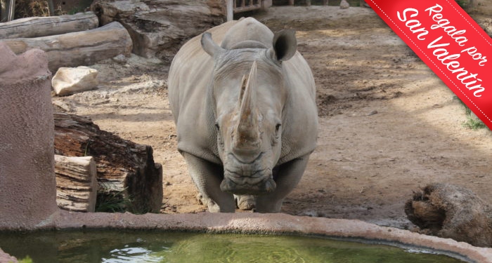 ¡Disfruta en familia de la belleza salvaje de la naturaleza! Entradas para Terra Natura Murcia