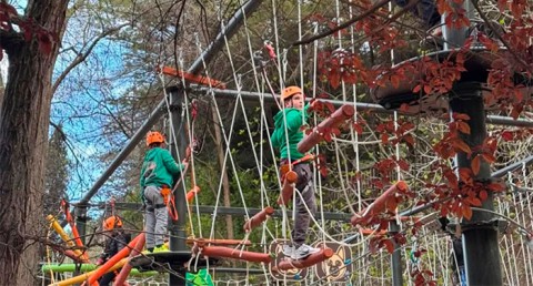 Aventura en Familia: Parque de Aventura de Laujar + Escuela de Bosque