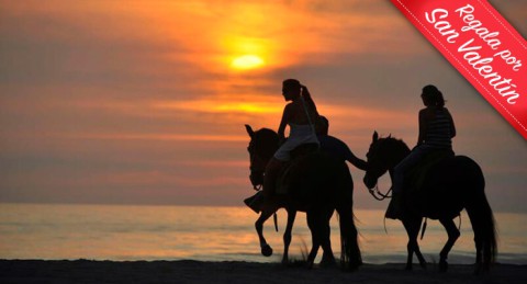 Ruta a caballo por la orilla del mar y el Paraje Natural en Almerimar: 1h de paz al atardecer