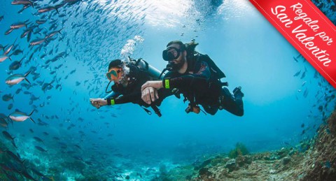 Descubre los secretos marinos de Cabo de Gata: Curso Buceo privado OPEN WATER PSS 