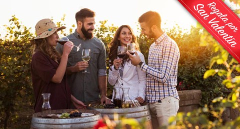 El regalo perfecto: Visita Guiada a Bodega con Cata y Aperitivos en Bodegas Perfer