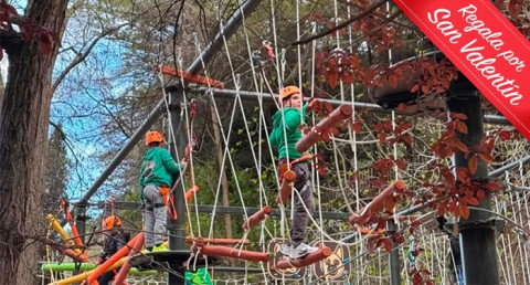 Aventura en Familia: Parque de Aventura de Laujar + Escuela de Bosque