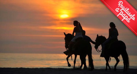 Ruta a caballo por la orilla del mar y el Paraje Natural en Almerimar: 1h de paz al atardecer