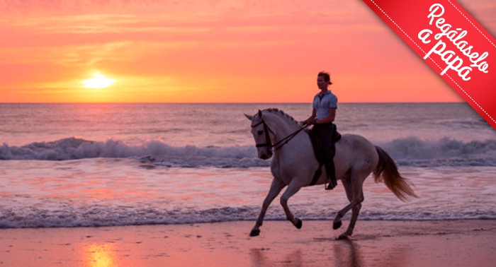Ruta a caballo por la orilla del mar y el Paraje Natural en Almerimar: 1h de paz al atardecer