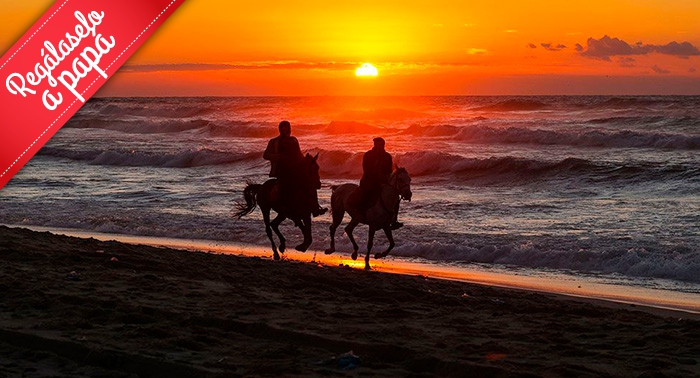 Ruta a caballo por la orilla del mar y el Paraje Natural en Almerimar: 1h de paz al atardecer