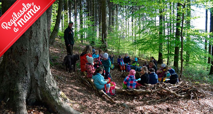 Aventura en Familia: Parque de Aventura de Laujar + Escuela de Bosque