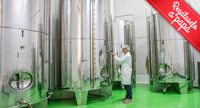 Ruta Oleo Almanzora y GEODA PULPÍ + Degustación AOVE + Sala Negra y Castillo