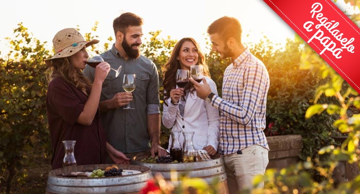 El regalo perfecto: Visita Guiada a Bodega con Cata y Aperitivos en Bodegas Perfer
