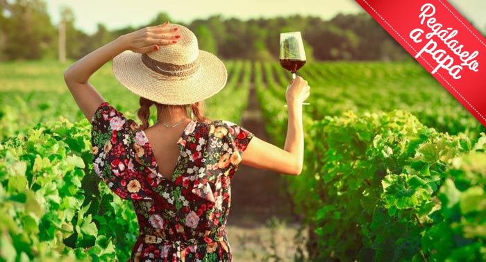 El regalo perfecto: Visita Guiada a Bodega con Cata y Aperitivos en Bodegas Perfer