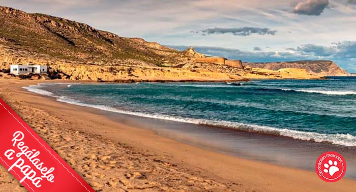 El mejor regalo: 1 Noche + Desayuno + Cena + Spa Wellness de 50 Min + Detalle en la habitación