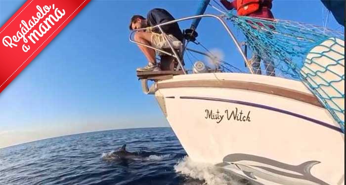 Ruta en Barco de 7h + Avistamiento de Delfines + Comida y Bebidas Ecológica