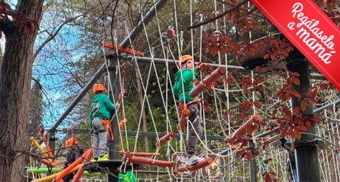 Aventura en Familia: Parque de Aventura de Laujar + Escuela de Bosque