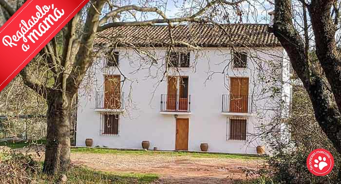 2 Noches en Casa Rural en el P.N. Cazorla, Segura y Las Villas + Botella Vino + 2 Actividades