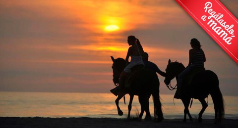 Ruta a caballo por la orilla del mar y el Paraje Natural en Almerimar: 1h de paz al atardecer