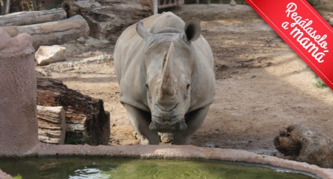 ¡Disfruta en familia de la belleza salvaje de la naturaleza! Entradas para Terra Natura Murcia