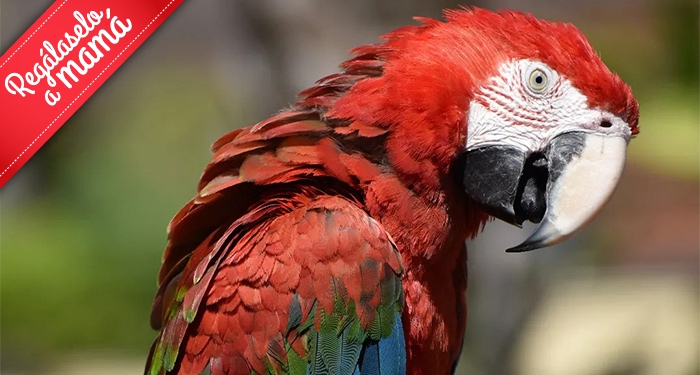 ¡Disfruta en familia de la belleza salvaje de la naturaleza! Entradas para Terra Natura Murcia