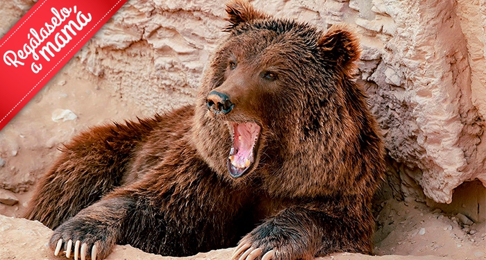 ¡Disfruta en familia de la belleza salvaje de la naturaleza! Entradas para Terra Natura Murcia