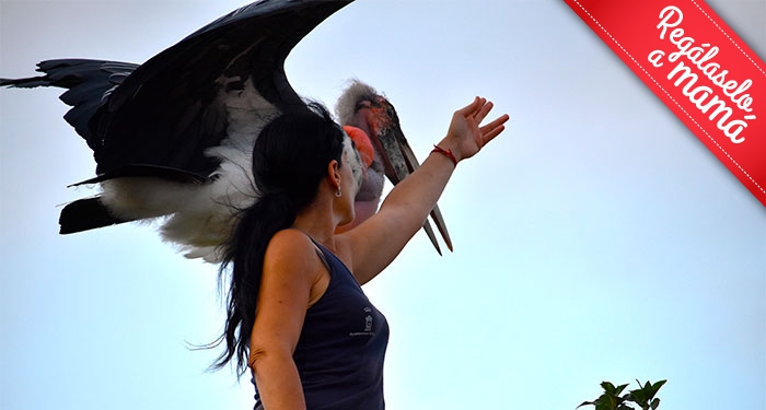 ¡Disfruta en familia de la belleza salvaje de la naturaleza! Entradas para Terra Natura Murcia