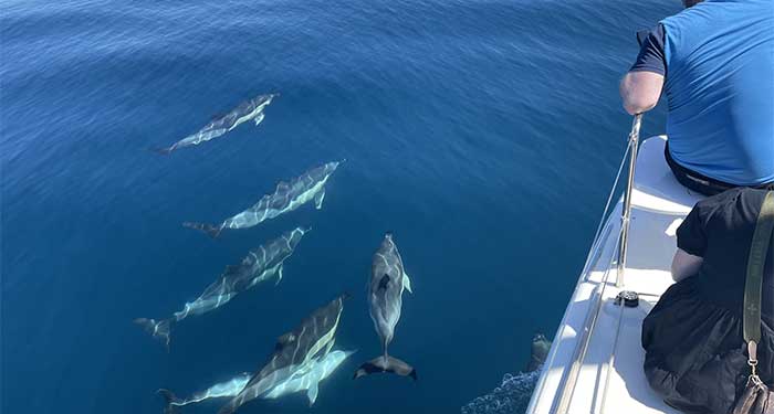 ¡Planazo inmejorable! Ruta en Barco con Fondo de Cristal por Aguadulce o Roquetas